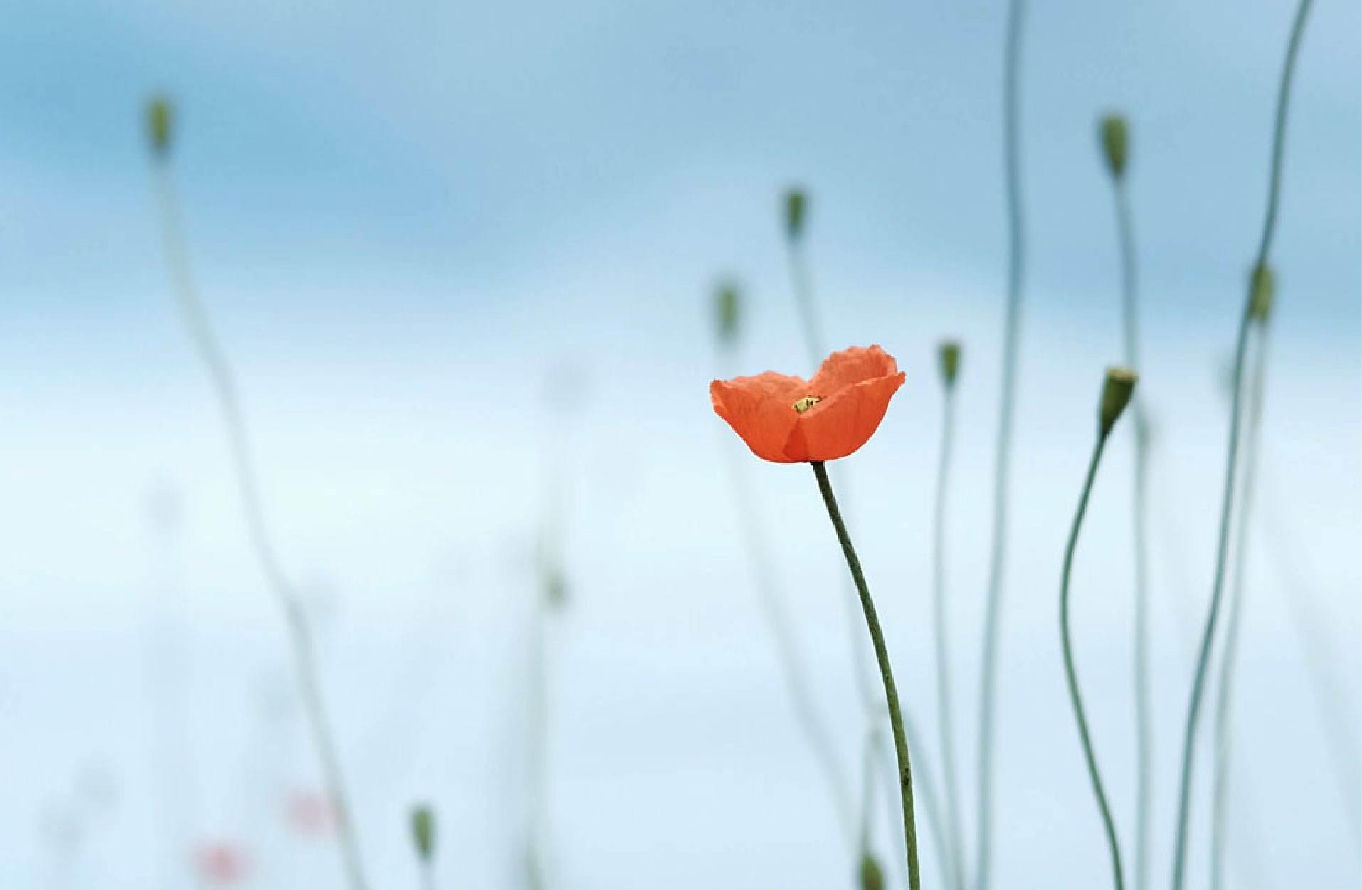 他是一個虔敬的人