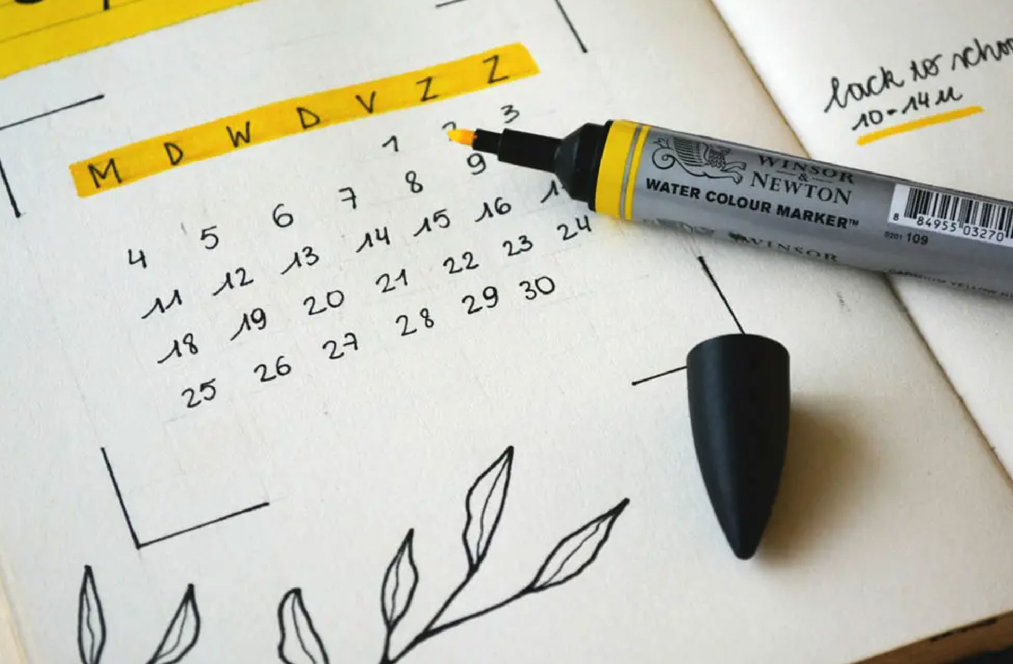 如果這具身體可以為科學付出一點