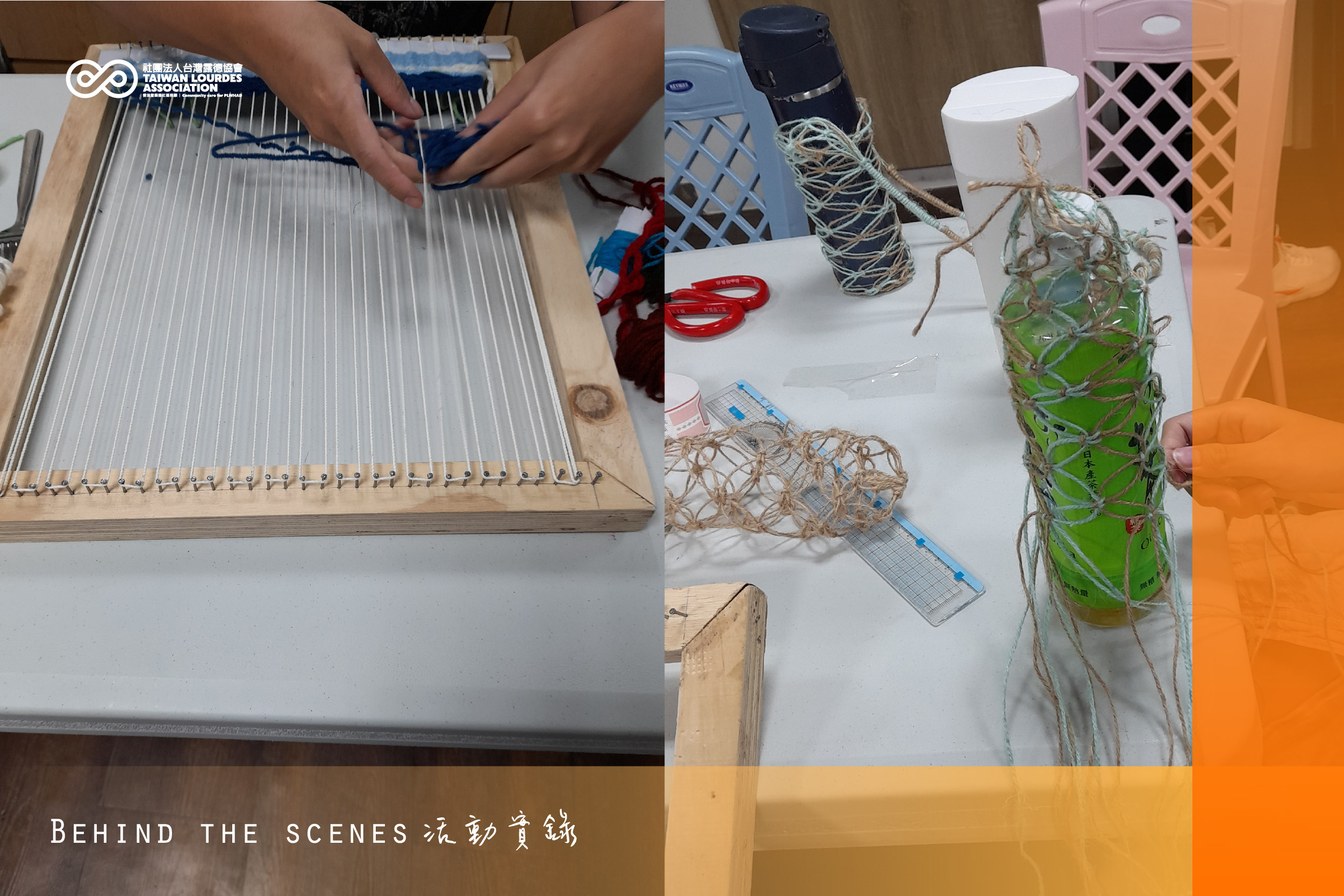 嬡綻放的花朵人生