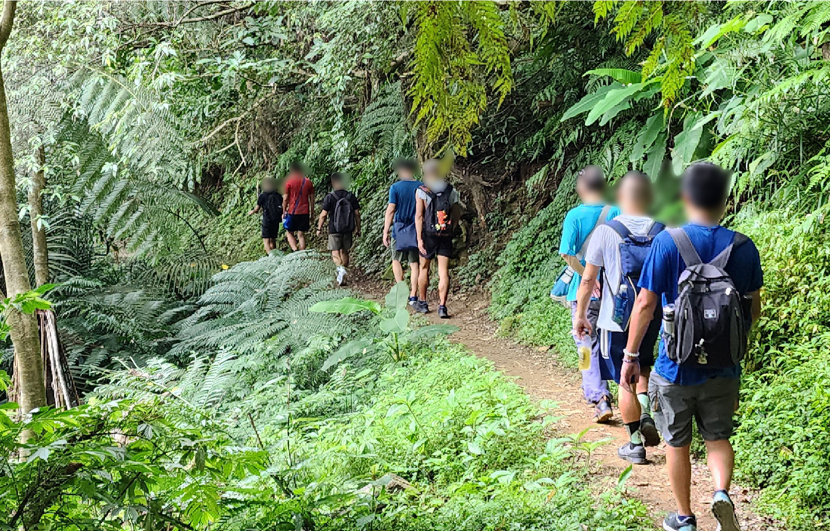 飛越銀河的貓之纜車一日遊