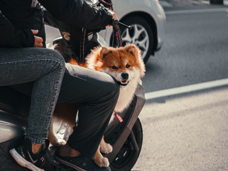 《愛滋》帕斯堤的感謝丨恩恩【POZstory陽性故事】(標題圖檔)