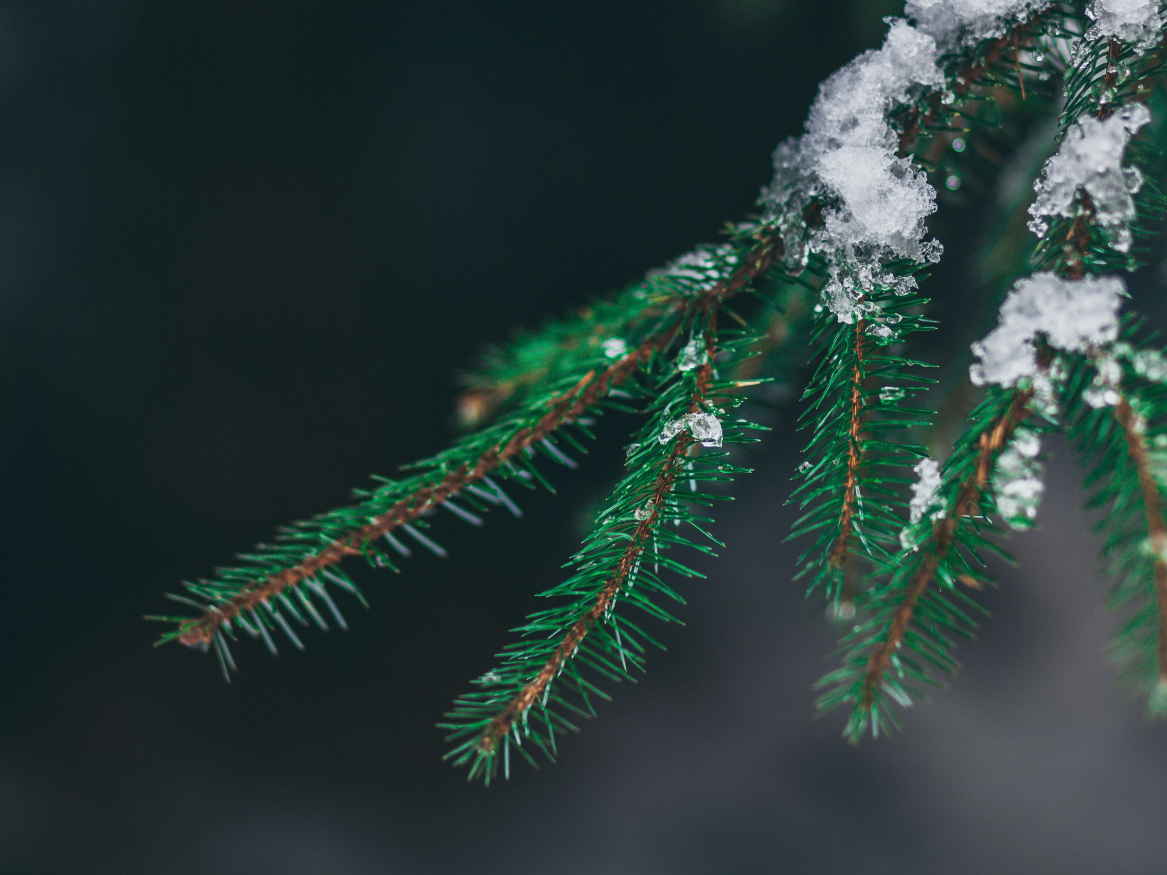 《愛滋》生命交鋒：愛滋的大寒之日丨張維【POZstory陽性故事】(標題圖檔)