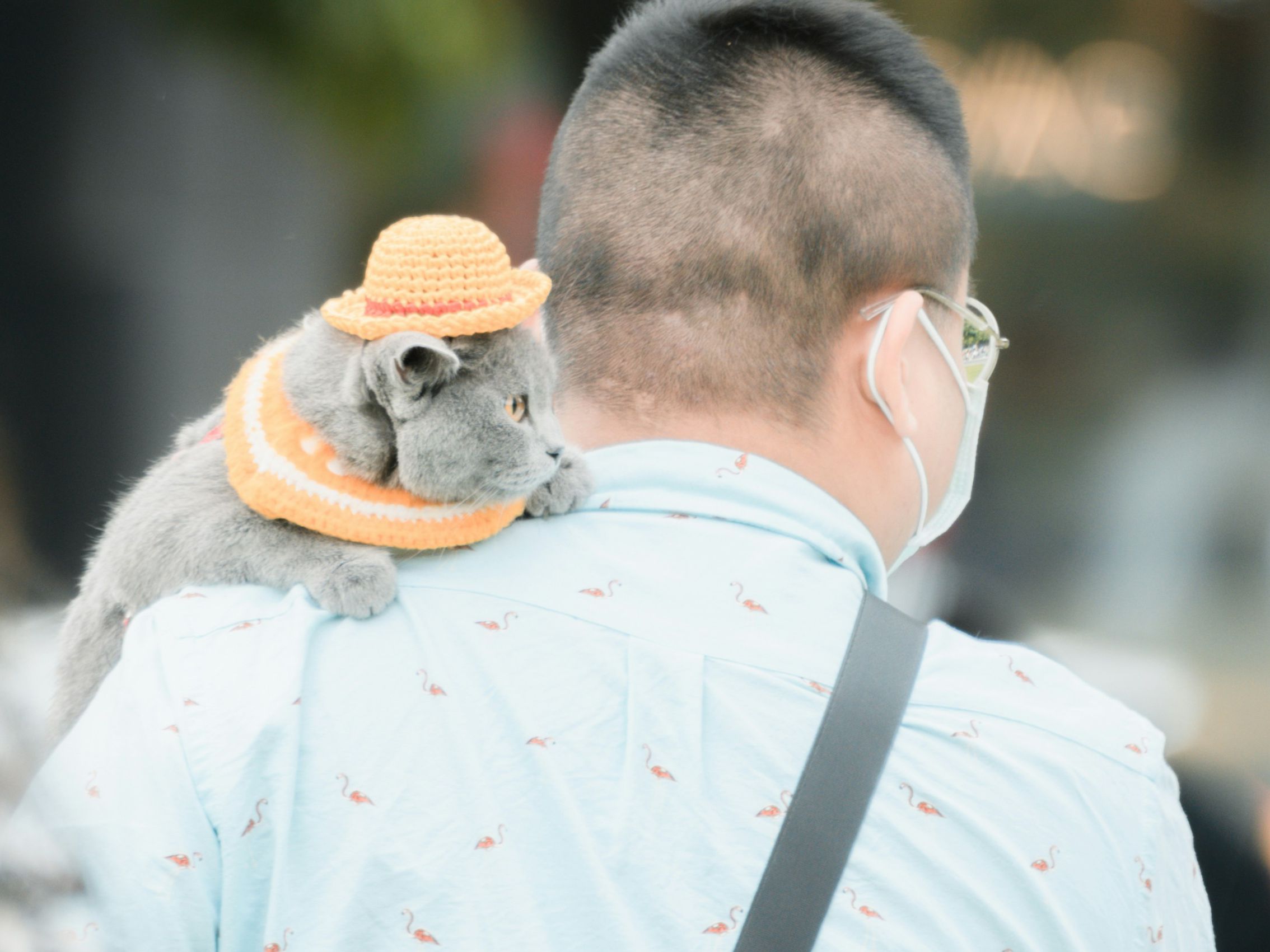 《愛滋》我有愛滋But我很好丨憲仔【POZstory陽性故事】(標題圖檔)