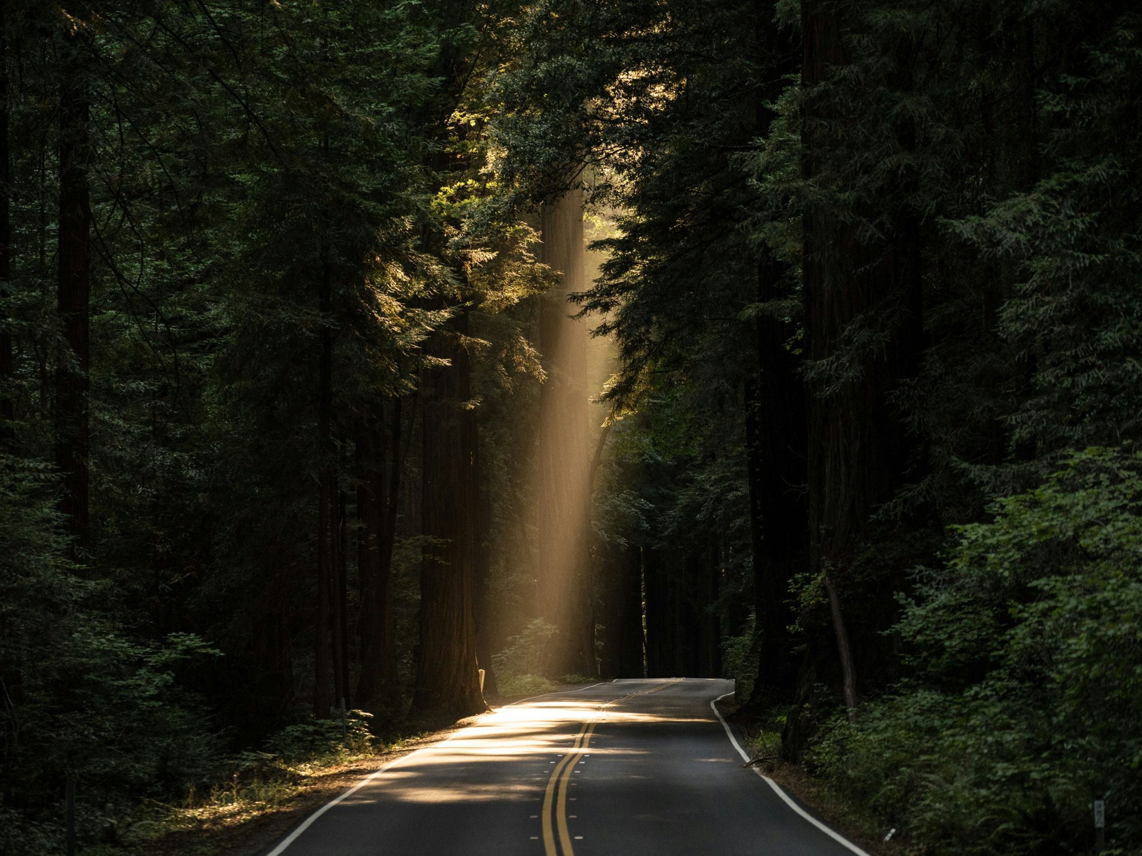 《女性》重新站起來的契機丨小櫻【POZstory陽性故事】(標題圖檔)