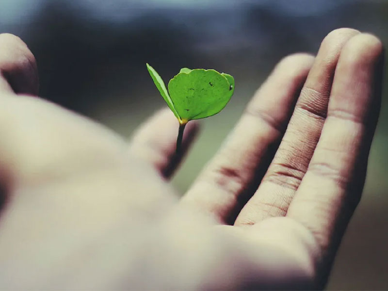 《愛滋》現在的問題是我要怎麼活(標題圖檔)