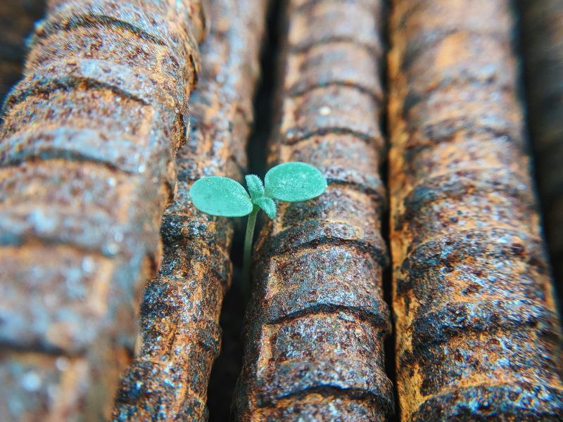 《藥癮》因為愛，我戰勝了藥癮與愛滋丨阿霞【POZstory陽性故事】(標題圖檔)