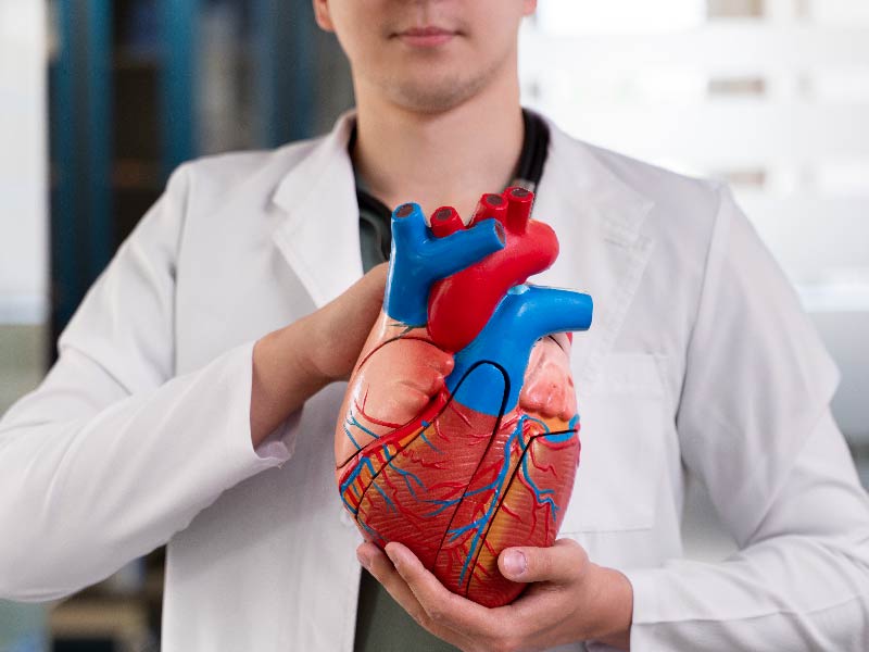 心血管疾病(標題圖檔)