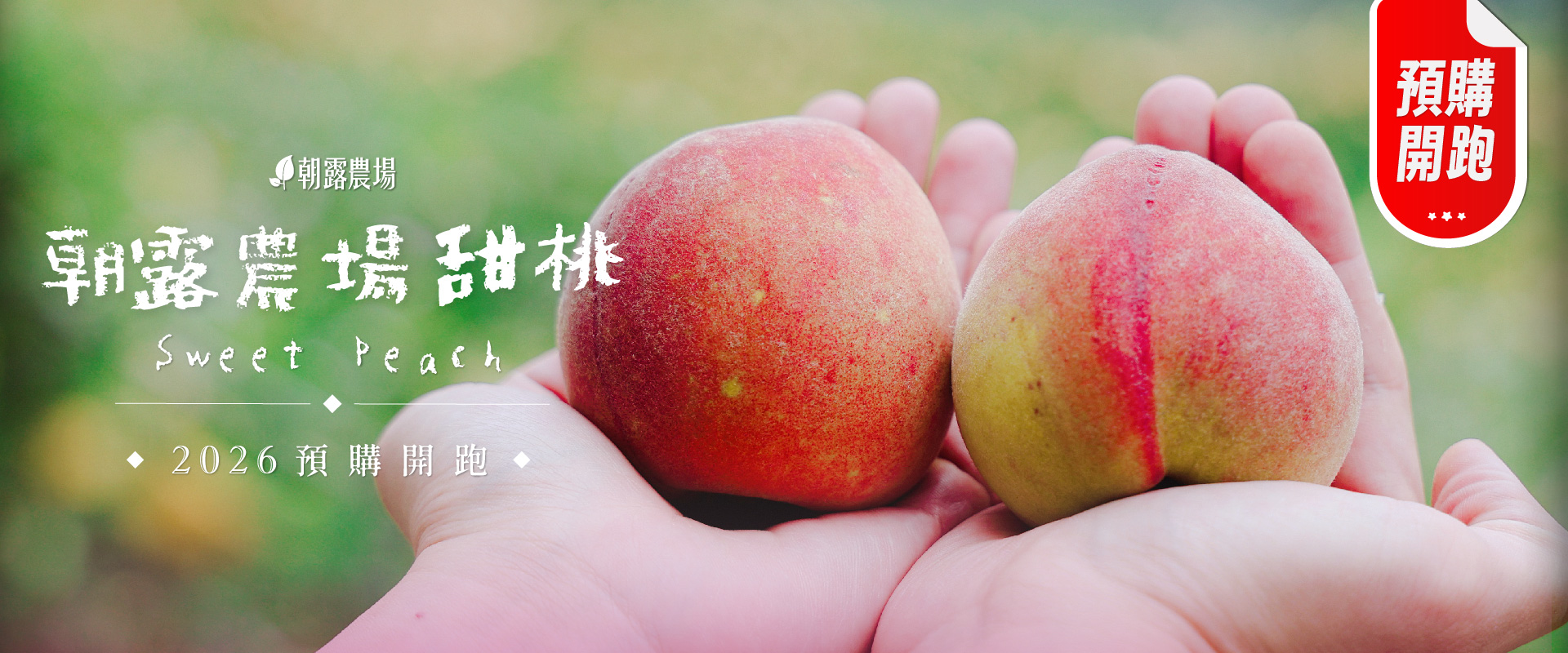 朝露農場甜桃 | 香甜桃氣上架