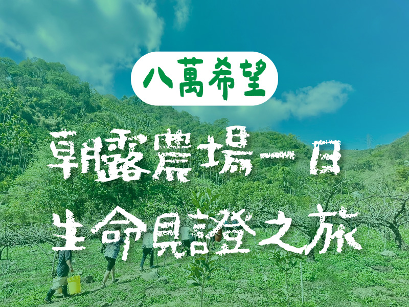 【勸募專案】八萬希望：朝露農場一日～生命見證之旅～(標題圖檔)